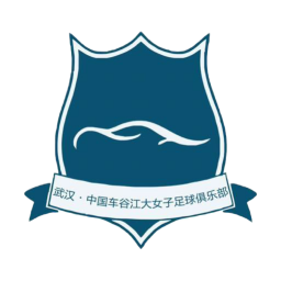北京雨虹修缮女足