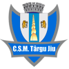 CSM福克沙尼